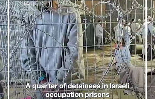 Thumbnail preview image for the video titled: Palestinians who are in Israeli prisons face torture, abuse, neglect, starvation, and deliberate medical negligence