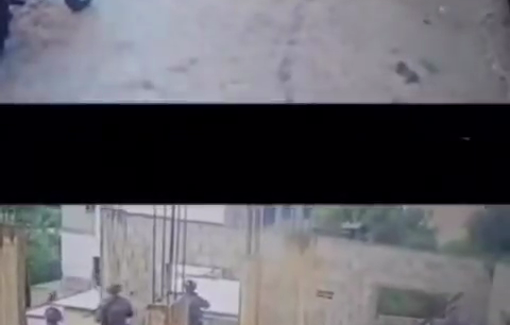 Thumbnail preview image for the video titled: Israeli soldiers stealing birds and poultry from a cage in Wadi Burqin, west of Jenin