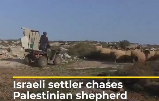Thumbnail preview image for the video titled: An illegal Israeli settler chasing a Palestinian shepherd and his flock of sheep in the village of Jawaya in Masafer Yatta