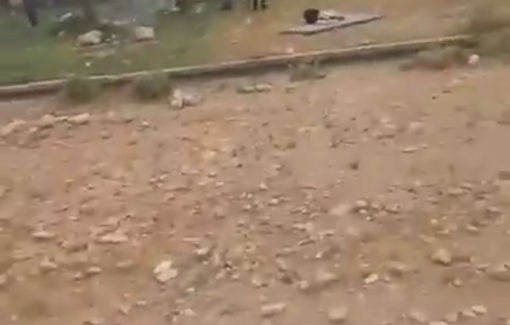 Thumbnail preview image for the video titled: Israeli militias violently attack Palestinian farmers in Al-Auja