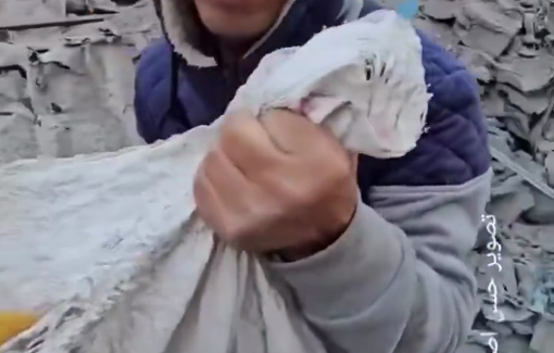 Thumbnail preview image for the video titled: Torn remains of a child in a flour bag after Israel killed 13 by bombed their houses