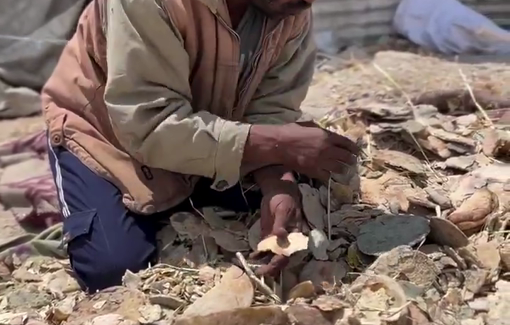 Thumbnail preview image for the video titled: Collecting dry and moldy bread from the streets to stave off hunger in Gaza