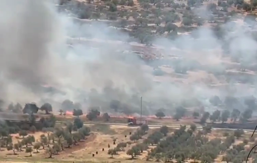 Thumbnail preview image for the video titled: Israeli settlers set fire to wheat fields in the Salim plain, east of Nablus