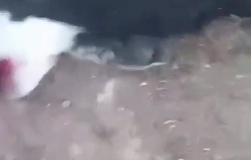 Thumbnail preview image for the video titled: A number of sheep were killed by the Israeli settler attack on Kisan Village, near Bethlehem