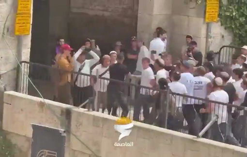 Thumbnail preview image for the video titled: Activist of "Standing Together" trying to protect a Palestinian assaulted by Jewish rioters during the Flag Day