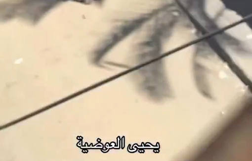 Thumbnail preview image for the video titled: Amid Israeli policy of starvation, a father begs on the street for bread