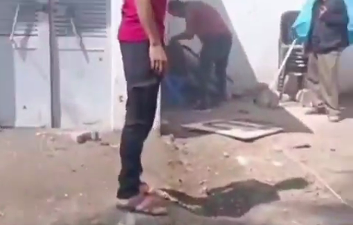 Thumbnail preview image for the video titled: 3 journalists killed by Israeli drones in the courtyard of Al-Ahli hospital