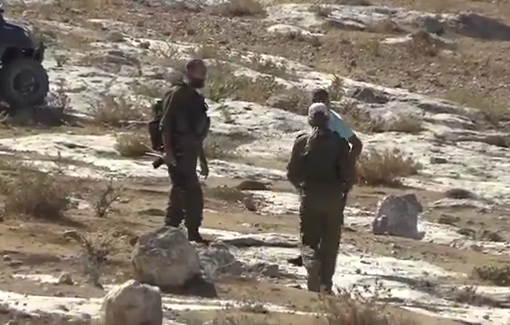 Thumbnail preview image for the video titled: Young Israeli settlers invaded a private olive grove in Qawawis with their flock