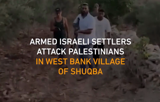 Thumbnail preview image for the video titled: Armed Israeli settlers attacked Palestinians and chased them out of their land on the outskirts of the village of Shuqba