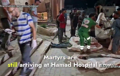 Thumbnail preview image for the video titled: Dozens shot in the head, neck and upper body by Israel while awaiting entry of aid through Zikim, northern Gaza