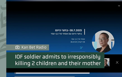 Thumbnail preview image for the video titled: IDF soldiers gunned down "3 objects approaching": a mother and her two children