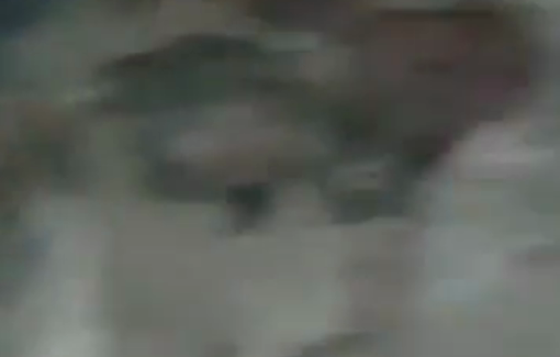 Thumbnail preview image for the video titled: Horrific scene of aid seekers killed and crushed by trucks after IDF opened fire on them