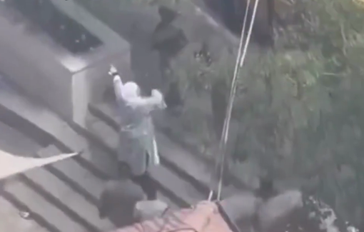 Thumbnail preview image for the video titled: Ramallah governor Layla Ghanem forced to plead with Israeli soldier, denied permission to leave