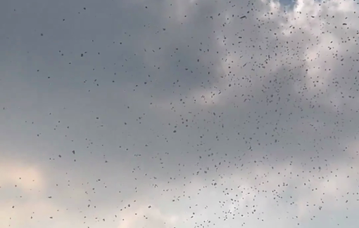 Thumbnail preview image for the video titled: Forced displacement leaflets dropped in the middle of Gaza City