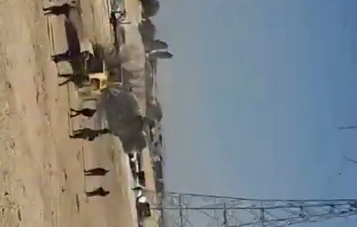 Thumbnail preview image for the video titled: While some Israeli bulldozers demolish houses, others uproot trees in the village of Al-Sirr