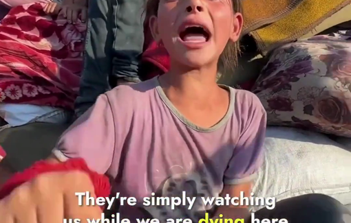 Thumbnail preview image for the video titled: Displaced child's outcry amid lack of protection, support and necessities of lfie