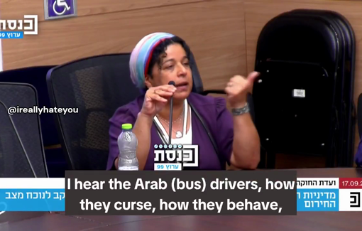 Thumbnail preview image for the video titled: Hadas Cohen, a racist 'bereaved aunt and sister', complains at the Knesset about Arab bus drivers’ holidays