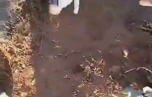 Thumbnail preview image for the video titled: Israeli settlers, backed by the Israeli army, expelled residents harvesting olives in Wadi al-Hajj Isa