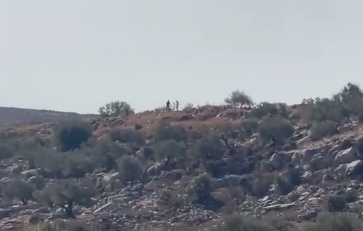 Thumbnail preview image for the video titled: Israeli settlers attack Palestinians harvesting olives in the town of Burqa