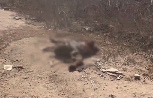 Thumbnail preview image for the video titled: Civil Defense retrieve the bodies of 9 people murdered by Israel while heading to check their homes in Al-Zaytoun