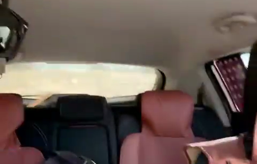 Thumbnail preview image for the video titled: The moment the elderly women harvesting her olive tree was clubbed by a settler