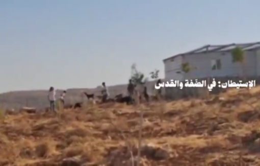 Thumbnail preview image for the video titled: Settlers attacked the home of Hisham Zain in Burin