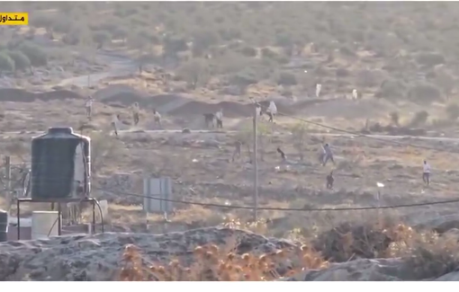 Thumbnail preview image for the video titled: Settlers attacked Palestinian farmers harvesting olives in the town of Deir Nizam