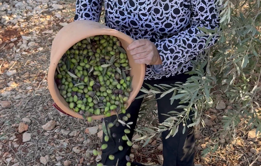 Thumbnail preview image for the video titled: “We cultivate the land, settlers destroy it. That is the difference. That is what you need to know.”