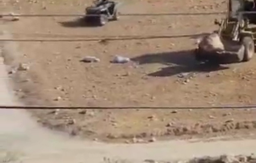 Thumbnail preview image for the video titled: Israeli settlers block an agricultural road in the village of Al-Burj, preventing the olive harvest