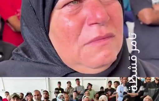 Thumbnail preview image for the video titled: Mother watches the horrific state of the bodies of Palestinian killed by Israeli torture, awaiting to identify her son among them