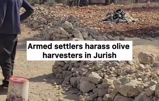 Thumbnail preview image for the video titled: Israeli settlers threatened a Palestinian family joined by international activists during olive harvest