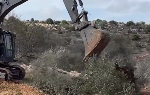 Thumbnail preview image for the video titled: Israeli army is uprooting olive trees before the eyes of their owners in Qaryut - Nablus