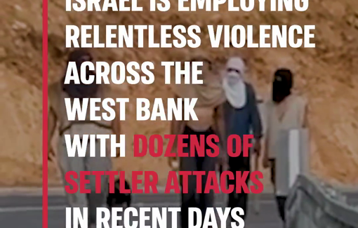 Thumbnail preview image for the video titled: Israeli settlers attacked Palestinians daily across the West Bank during the olive harvest