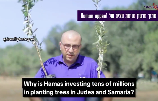 Thumbnail preview image for the video titled: HaKol HaYehudi ("The Jewish Voice") claims there are hundreds of thousands of "Hamas olive trees" in the West Bank