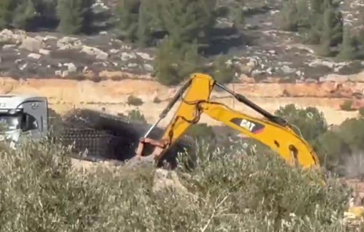 Thumbnail preview image for the video titled: Israeli settlers continue uprooting olive trees on Palestinian-owned land in Turmus Ayya