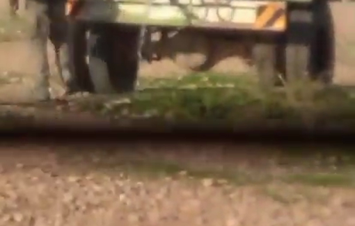 Thumbnail preview image for the video titled: Israeli settlers pouring the precious water of the resident in the village of Shallal Al-Auja