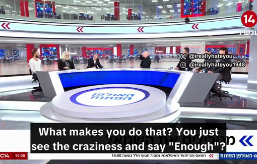 Thumbnail preview image for the video titled: Israeli TikToker Roi Star: "Pure rage. That's what drives me, pure rage for the haters of Israel"