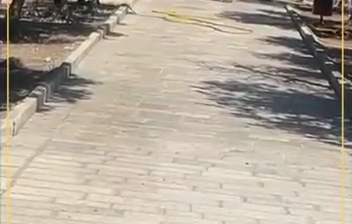 Thumbnail preview image for the video titled: Settlers desecrate Al-Aqsa mosque compound