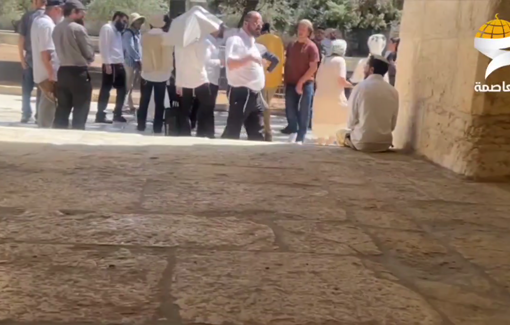 Thumbnail preview image for the video titled: Over 150 settlers desecrate Al-Aqsa mosque compound to celebrate Sukkot