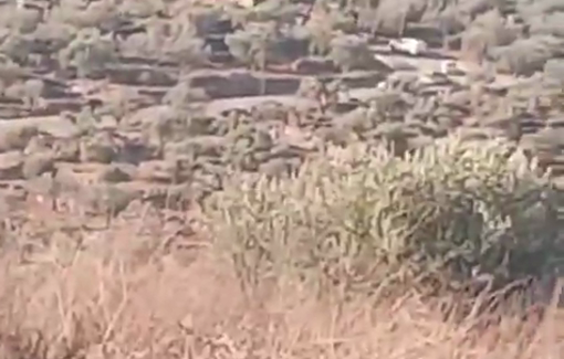 Thumbnail image of a video tagged with Excavator